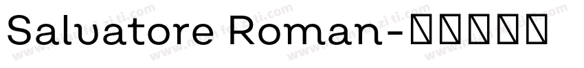 Salvatore Roman字体转换